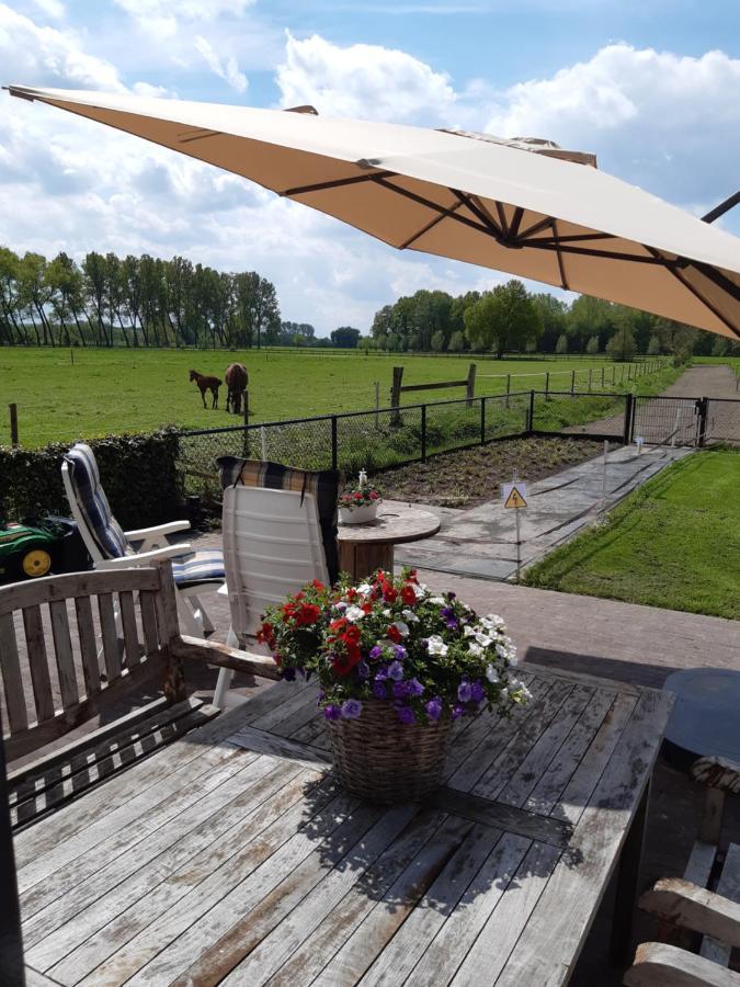 Bed and Breakfast De Weije Wereld Sint-Oedenrode Exterior foto